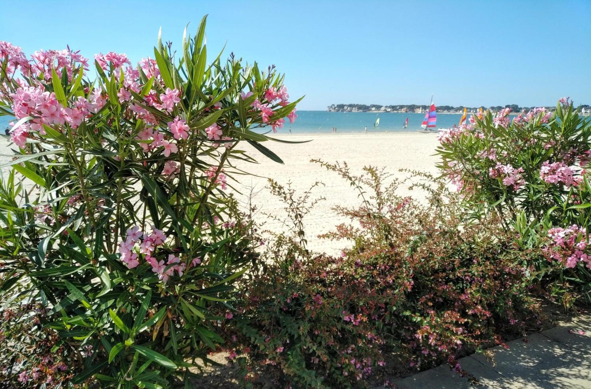 Le Capitole - Studio Plage Benoit Dans Residence Face Mer La Baule-Escoublac Exterior photo